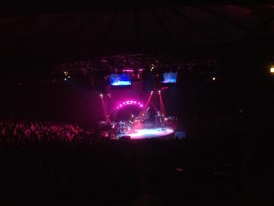 picture #6