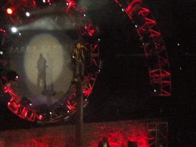 picture #8