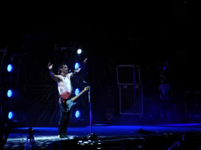 picture #17