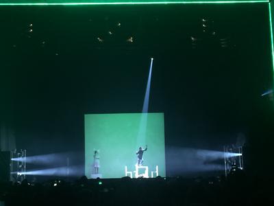 picture #8