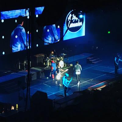 picture #5