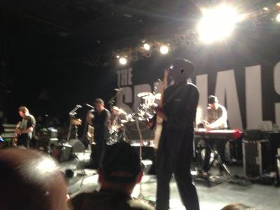 picture #7