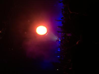 picture #8