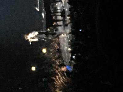 picture #7