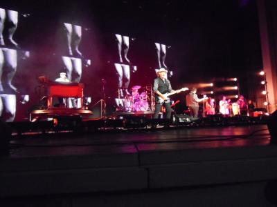 picture #12