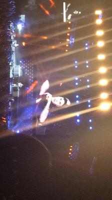picture #16