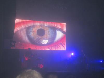 picture #31