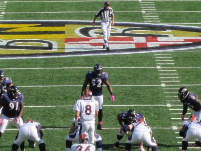 picture #34