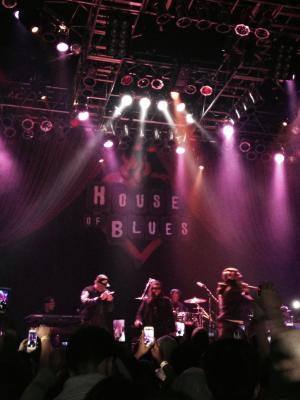 picture #20
