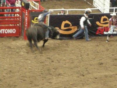 picture #8