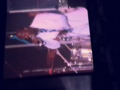 picture #5