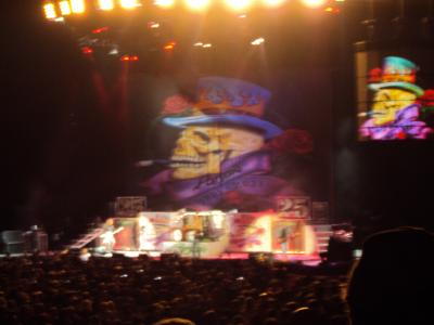 picture #14