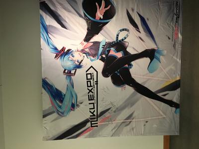 picture #65