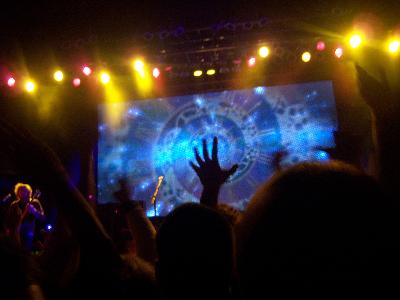 picture #7