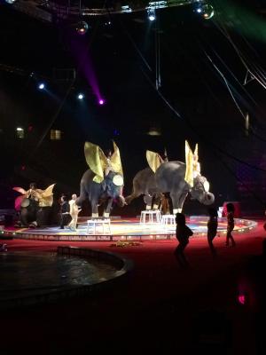 picture #56