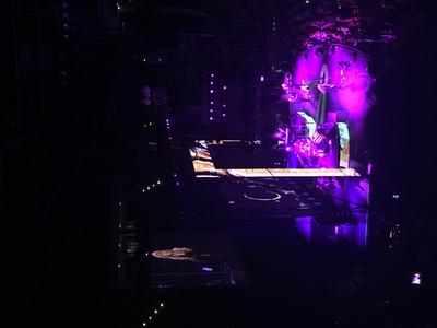 picture #8