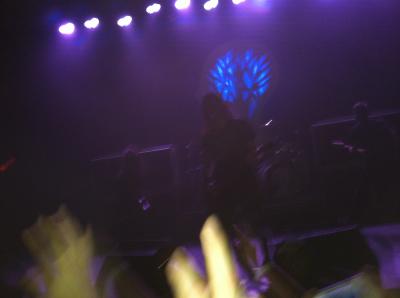 picture #7