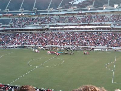 picture #7