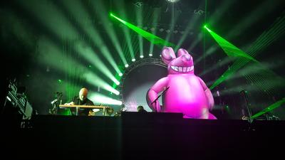 picture #10