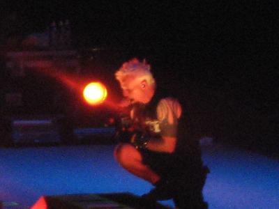 picture #9