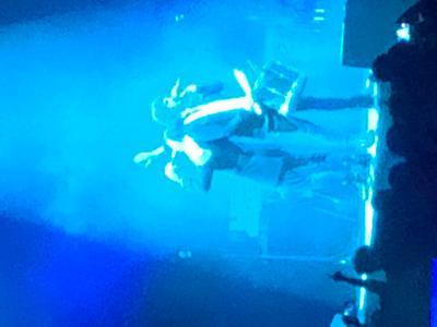 picture #4