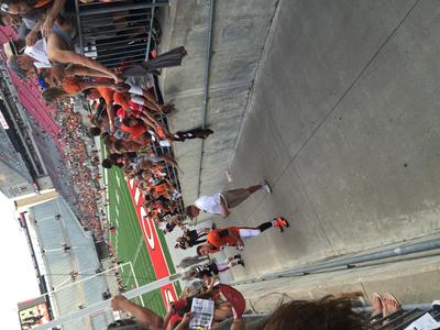 picture #24