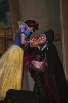 picture #15
