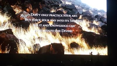 picture #36
