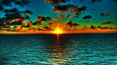 picture #27