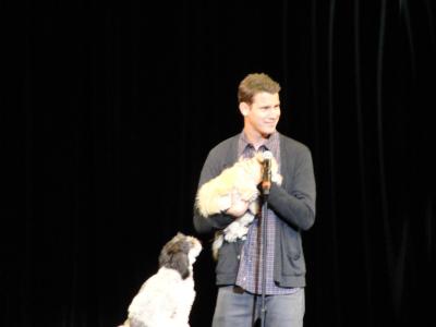 picture #53