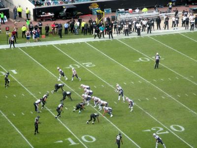 picture #28