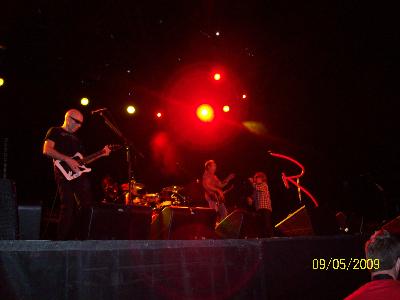 picture #20