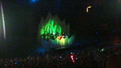picture #9