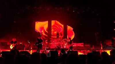 picture #36
