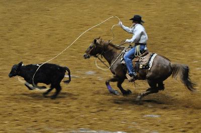 picture #19