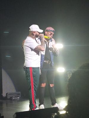picture #6