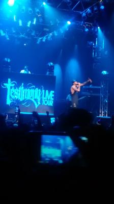 picture #19