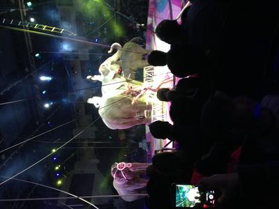 picture #7