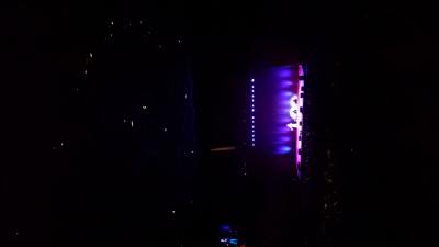 picture #8
