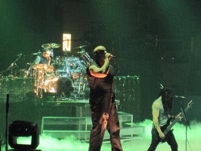 picture #8