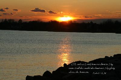 picture #29