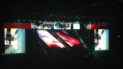 picture #9