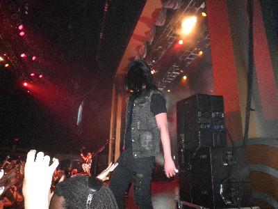picture #9