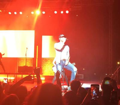 picture #12