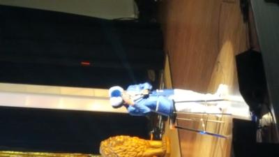 picture #7