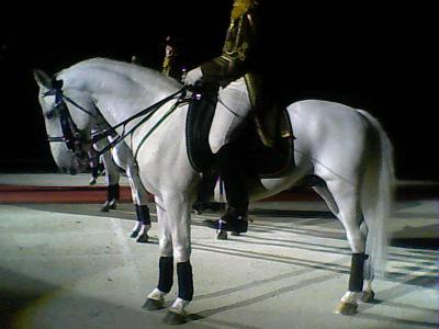picture #83