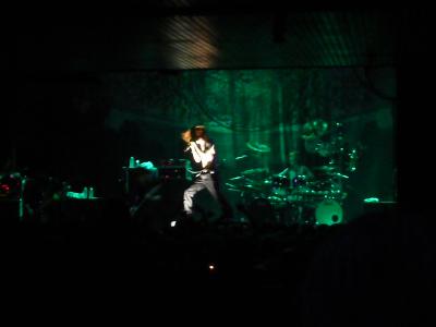 picture #31