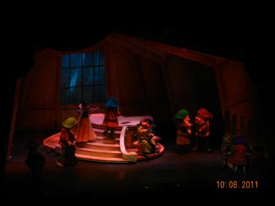 picture #8