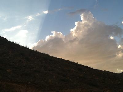 picture #5