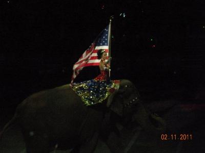 picture #62
